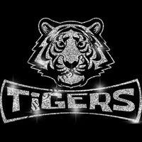 GLT94 SILVER GLITTER Thumbnail