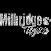 GLT1 SILVER GLITTER Thumbnail