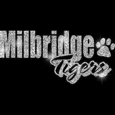 GLT1 SILVER GLITTER Thumbnail