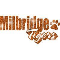 GLT1 ORANGE GLITTER Thumbnail