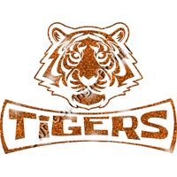 GLT94 ORANGE GLITTER Thumbnail